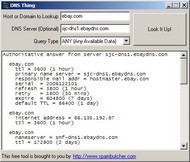 DNS Thing screenshot